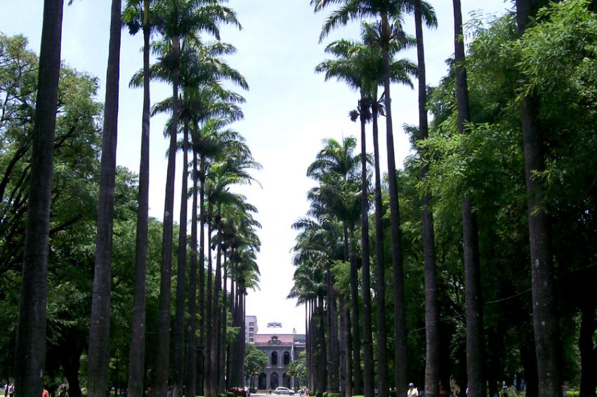 Alameda de Palmeiras na praça da Liberdade - Foto-Fa Souza Freitas (Licença-cc-by-sa-3.0)