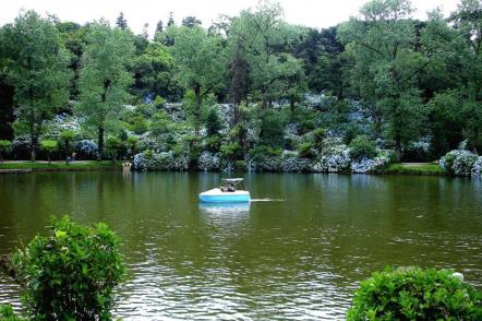 Lago Negro - Foto: Fernandosaldado (Licença-Dominio publico)