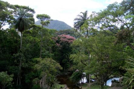 Parque Nacional Serra dos Órgãos - Foto: Fulviusbsas (Licença-Dominio publico)