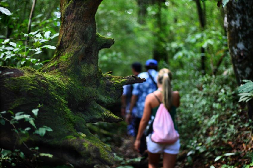 Trilha - Foto: Flavio Isaac - Goias Turismo