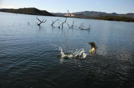 Pesca - Cachoeira do Zé Mineiro - Foto: Rogério Pacheco - Foto: Goiás Turismo