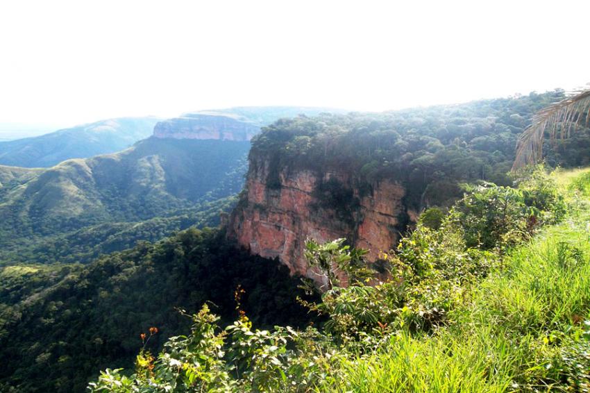 Chapada dos Guimaraes的景观和植物群-图片Ademir Santos（License-cc-by-sa-3.0）