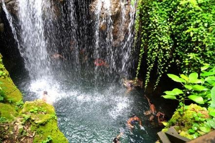 Cascatas da trilha boca da onça - Foto: Sergio Alexandre Korndorfer (Licença-cc-by-sa-3.0)