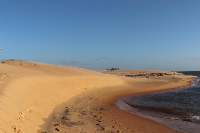 Piaçabuçu - Se - Foto Free Pixabay