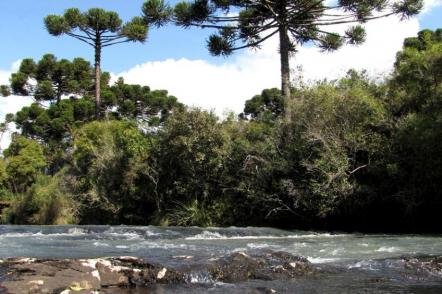 Parque Salto São Francisco (parte da cachoeira dos cavaleiros) - Foto: Marcos Guerra (Licença-Dominio publico)