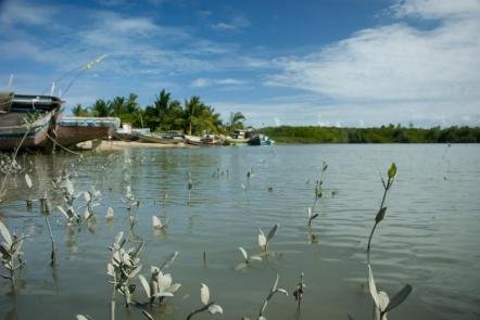 Rio Corumbau - Foto: João Ramos - Bahiatursa (Licença-cc-by-sa-3.0)