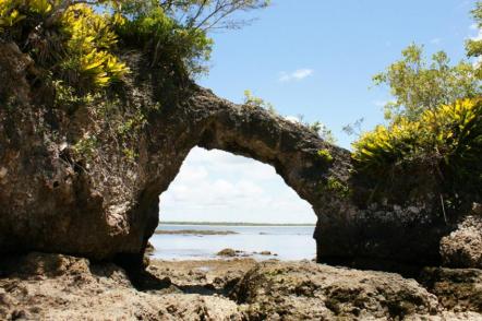 Maraú - Ilha da Pedra Furada - Foto: Solange Rossini