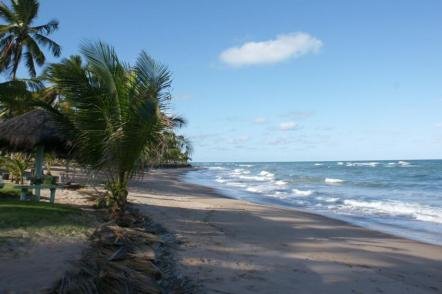 Península de Maraú - Taipú de Fora - Foto: Solange Rossini