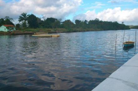 Rio de Nilo Peçanha - Foto: Iregiões