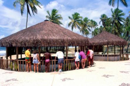 Praia de Arembepe - Camping Foto: Jota Freitas - Setur