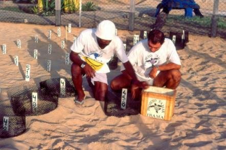 Praia de Arembepe Foto: Jota Freitas - Setur