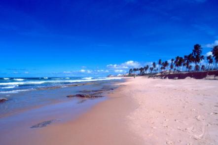 Praia de Arembepe Foto: Jota Freitas - Setur