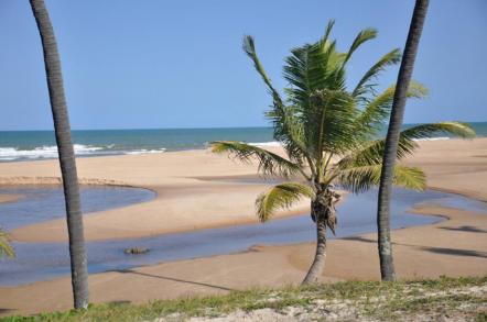 Imbassai - Praia de Imbassaí - Foto: Tereza Torres - Setur