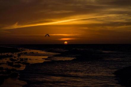 Por do  Sol em Camocim - Foto: Ewertonn Dourado (Licença-cc-by-3.0)