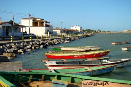 Resultado de imagem para foto de porto do mangue