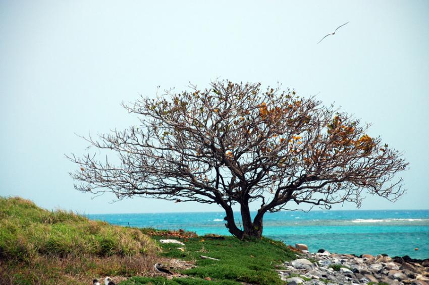 Arquipélago de Abrolhos - Foto: João Ramos - Bahiatursa