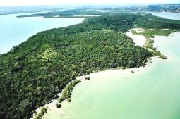 Ilha de Cajaíba (São Francisco do Conde-Ba) Foto: Marialva Vaz