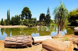 Jardim Botânico de Brasilia - Foto: Sehyla Leal - 