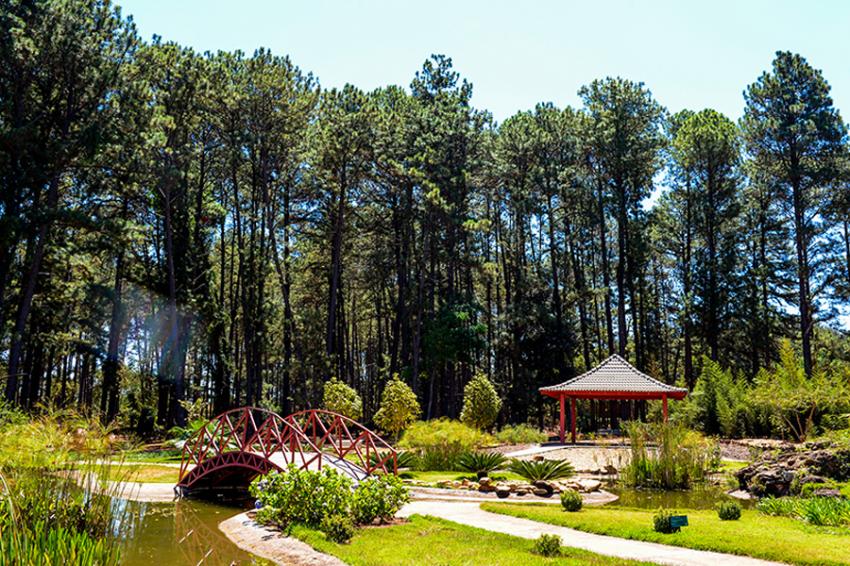 Resultado de imagem para jardim botânico de brasília