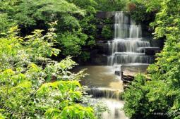 Cachoeira do Tingidor (Juazeiro do Piauí)  Foto: Juscel Reis