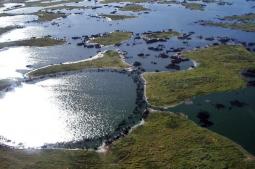 Vista aérea do Pantanal Matogrossense - Foto: Alicia Ayo  -