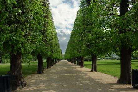 O Jardim do Rei (Castelo Rosenborg) - Foto: Avenue Off Trees (Licença-cc-by-sa-2.0)