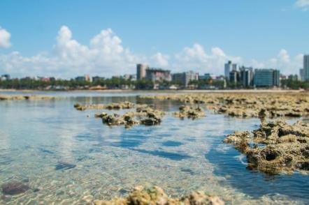 Enseada de Pajuçara - Foto: André Palmeira