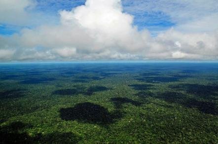 Região de floresta amazonica proxima de Manaus - Foto: Neilpalmer-Ciat (Licença-cc-by-2.0)