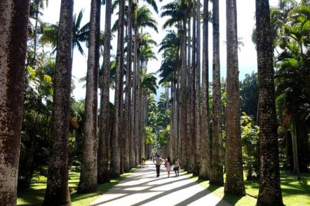 Jardim Botânico do Rio - Foto: Feliven - (Licença cc-by-sa-2.0)