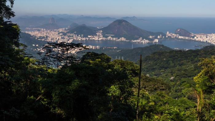 Parque Nacional da Tijuca - Rio de Janeiro - Crédito: Arquivo MTur
