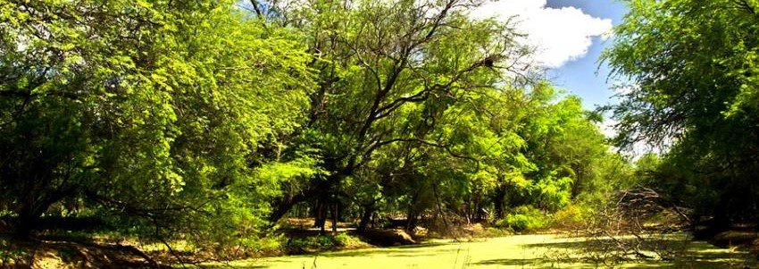 São Raimundo Nonato - Piauí - Leito do Rio Piauí.