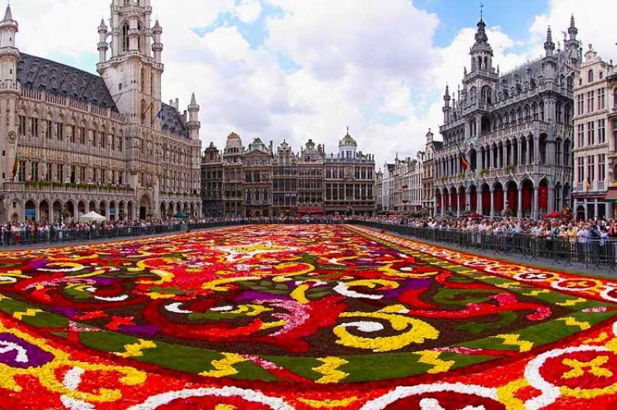 Bélgica - Bruchelas: Tapete floral na Grand Place